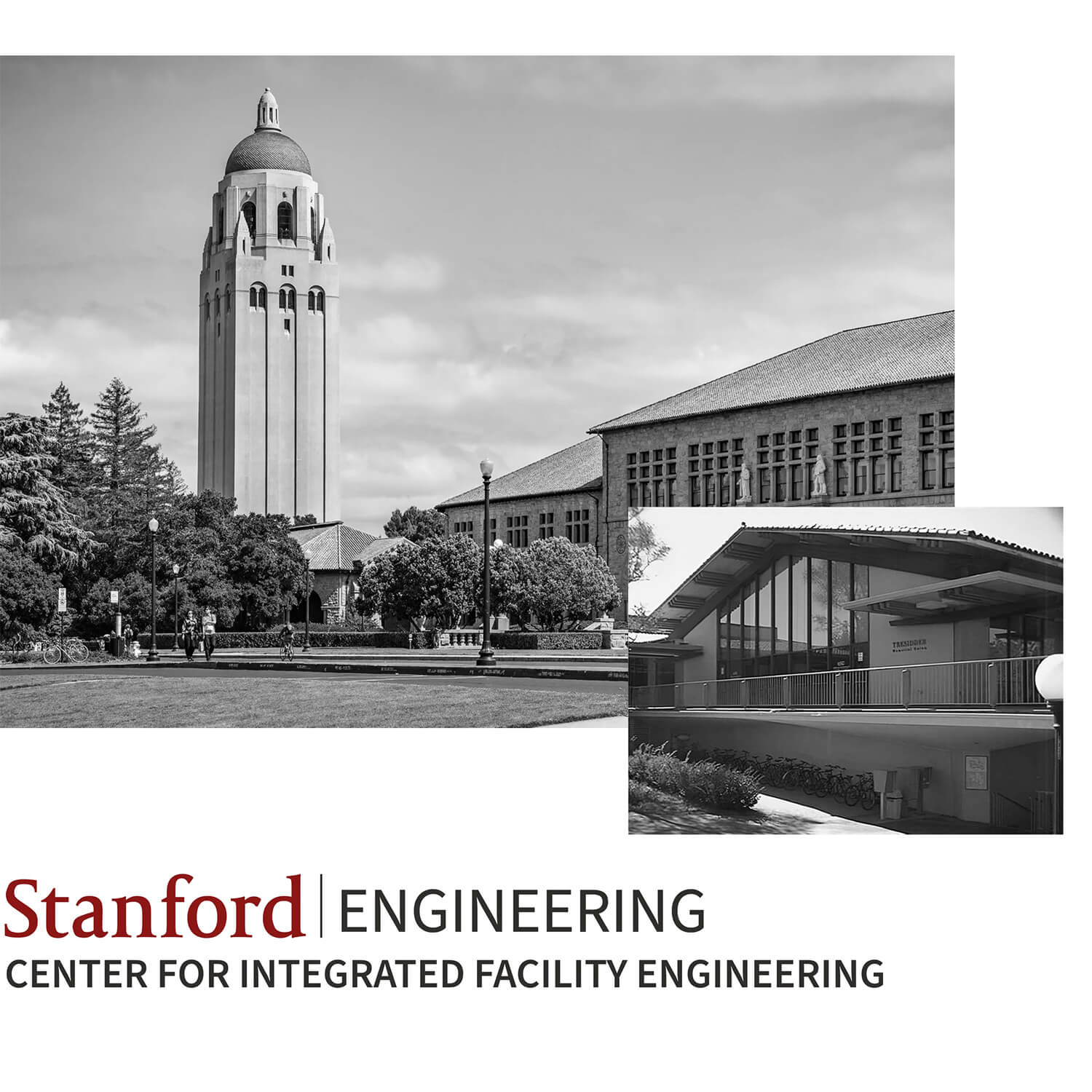 Stanford collage