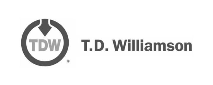 T.D.Williamson